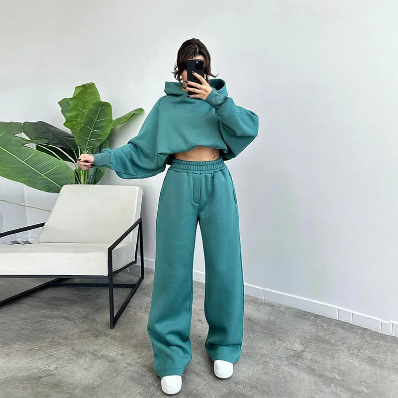Autumn Winter New Fashion 2 Pieces Set Women New Solid Color Leisure Pure Color Fleece Hooded Casual Two-piece Sports Suits